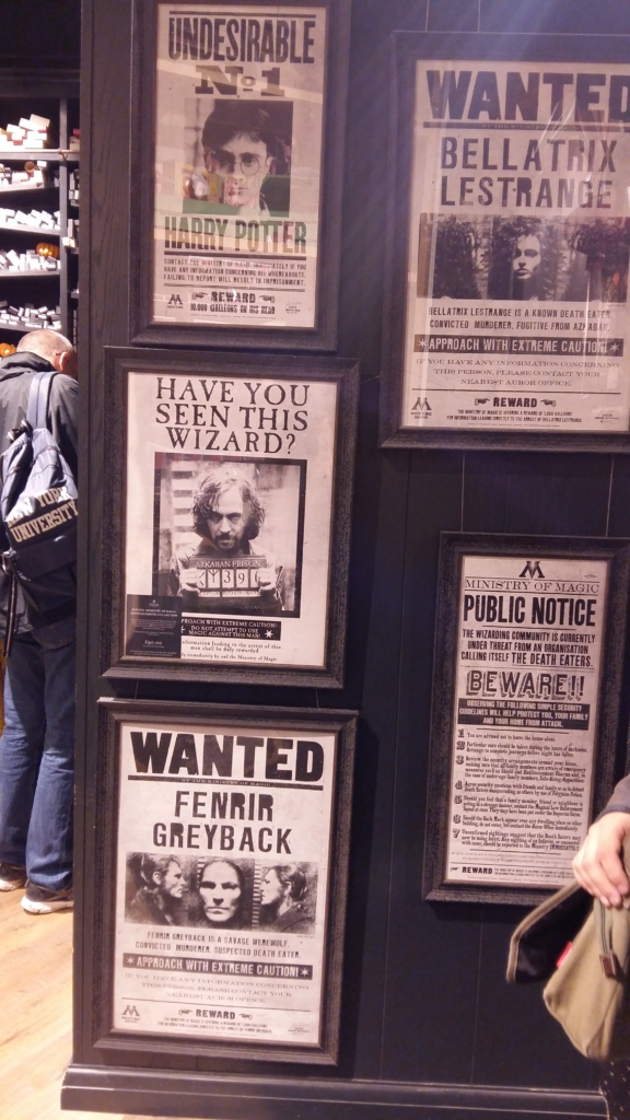 mariage Harry Potter les affiches des indésirables dans Harry Potter